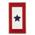 Blue Star Service Flag Pin